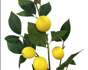 Lemon Spray - 32 Inch