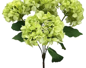 Green Hydrangea Bush~ 5 flowers ~ 20 inches