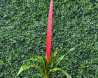Red Bromeliad Gladiate - 28 inch