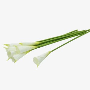 May include: A collection of white calla lilies with green stems and yellow accents. The flowers are arranged in a loose bouquet, with some stems extending outwards. The image is set against a plain white background.