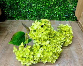 Green Hydrangea Bush~ 5 flowers ~ 20 inches