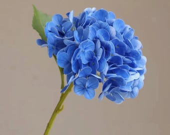 Floral Bushes & Stems