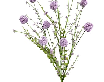 Purple Snowball Allium Bush ~ 30 Inch