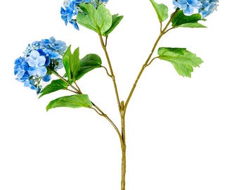 Blue Hydrangea Seed Spray ~ 33Inch