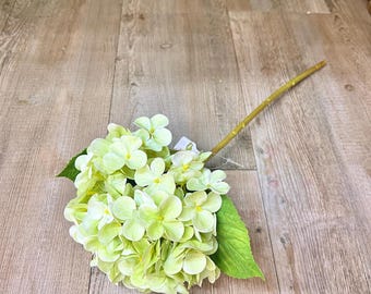Green Lifelike Real Touch Hydrangea Stem ~ 12.5 inch