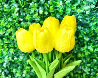 Tulip Stem x7 Yellow ~12 inches
