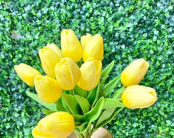 Tulip Stem x12 Yellow ~ 14 inches
