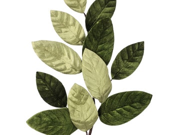 Green Velvet Magnolia Leaf Spray - 26 inches