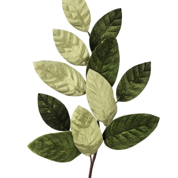 Green Velvet Magnolia Leaf Spray - 26 inches