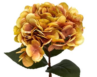 Golden Fall Dried Hydrangea Stem ~ 13.5"