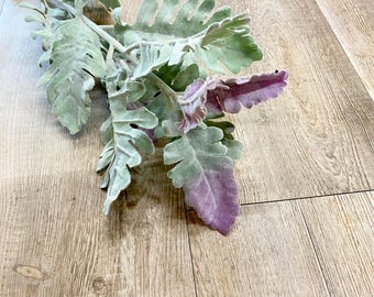 Flocked Lamb Ears Spray ~ 29 inches