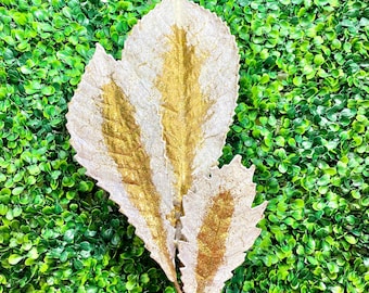 Chestnut Leaf Spray - White & Gold - 24"X9"