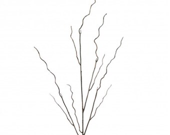 Brown Curly Twig ~ 36 Inch