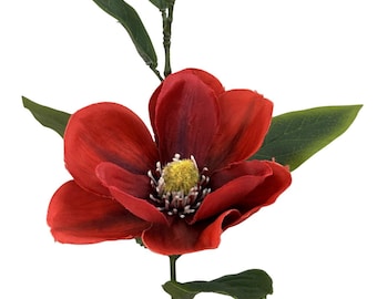 Red Magnolia & Bud Stem ~ 25 inch