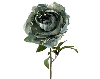 Gray Blue Peony Stem - 30 in