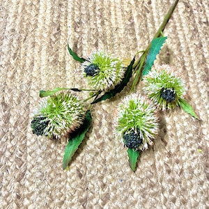 Artificial Banksia Spray ~ 21.5 inch