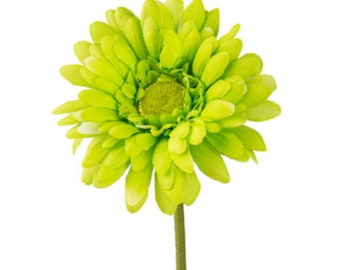 Lime Green Gerber Daisy ~ 18 Inch