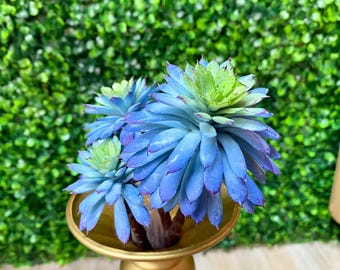 Blue Green Daisy Succulent Rosettes - 10.5 inch