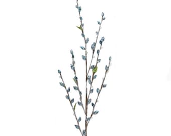 Icy Blue Willow Spray - 42 inch