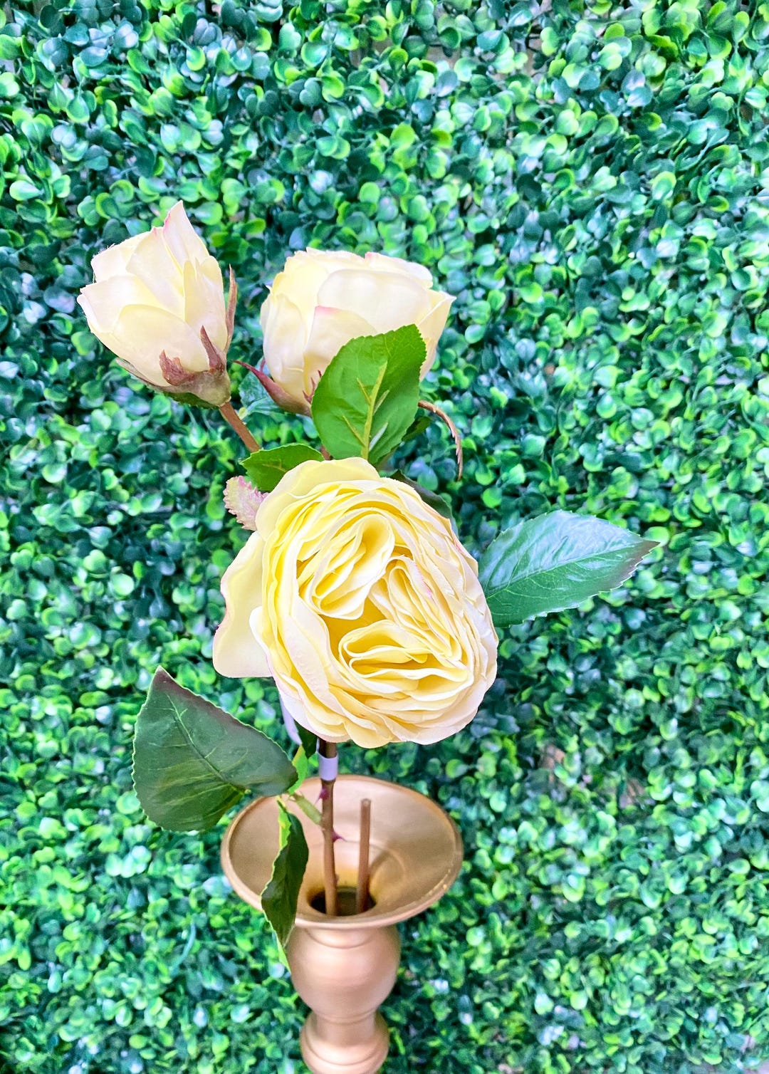 Fresh Touch Yellow Cabbage Rose Spray - 21 Inches - Etsy