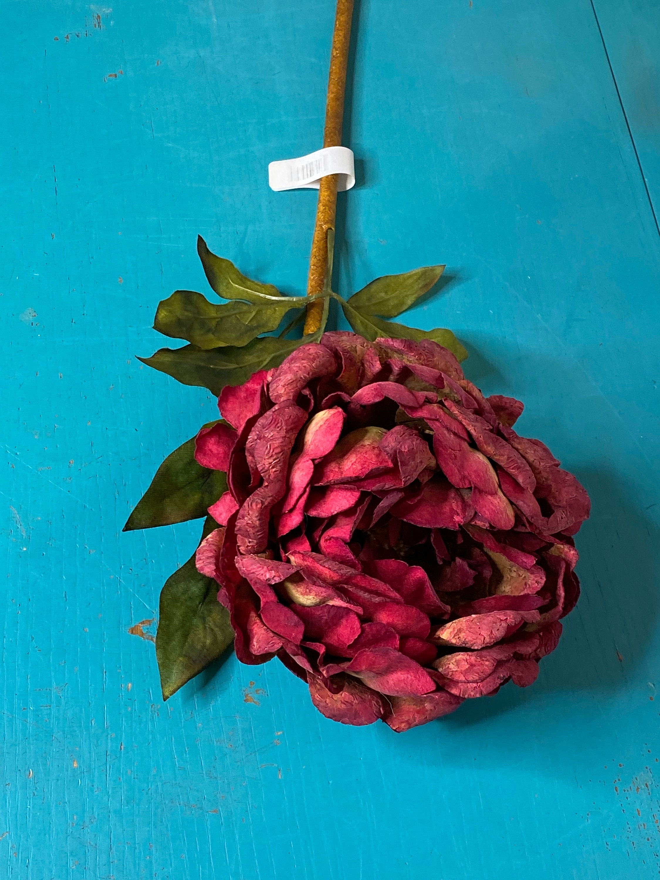 XL Rembrandt Peony ~ Magenta ~ 28”