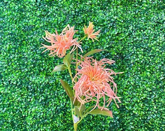 Coral Pink - Spider Mum Chrysanthemum Spray