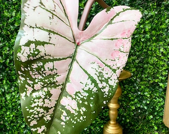Angel Wing ~ 37.5 inches ~ Pink & Green