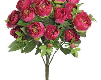 Hot Pink Peony Bush - 23 inch