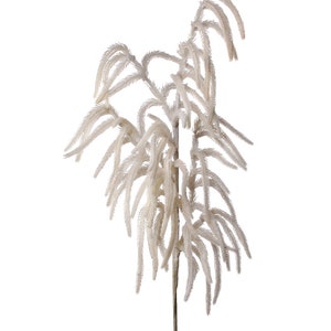 May include: A single white pampas grass stem with feathery plumes.