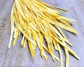 Yellow Grass Spray - 40”