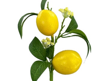 Lemon pick ~ 13 in ~ 2 lemons