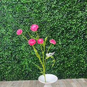 Rosa Wilde Pom Pom Füller Blume