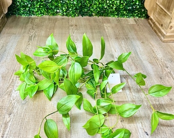 Pendula Greenery Bush ~ 19Inch ~UV Protected