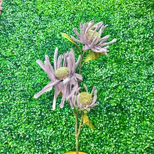 Lavender Purple Spider Mum Spray - 41 inch