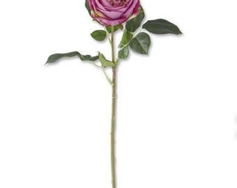 Real Touch Dark Purple Austin Rose Stem - 24 inch