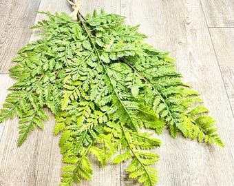 Green Soft Touch Leather Fern Bundle x3 - 20 inches
