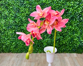 Pink Cymbidium Orchid ~ 40 Inch