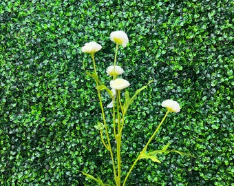 White Wild Pom Pom Filler Flower