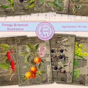Vintage Botanical Illustration - Digital Collage Sheet Digital Cards Instant Download Printable ATC Cards 2.5”x3.5” ACEO Botanical Cards
