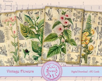 Vintage Flowers - Digital Collage Sheet Flowers Digital Cards Instant Download Printable ATC Cards 2.5”x3.5” ACEO Botanical Digital Image