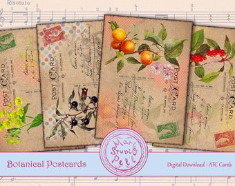 Botanical Postcards - Digital Collage Sheet Digital Cards Instant Download Printable ATC Cards 2.5”x3.5” ACEO Botanical Cards Digital Image