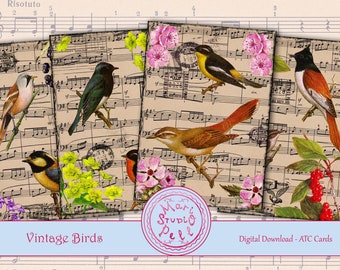Vintage Birds, Digital Collage Sheet Digital Cards Instant Download Printable ATC Cards 2.5”x3.5” ACEO Birds Cards Digital Image Ornithology