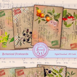 Botanical Postcards - Digital Collage Sheet Digital Cards Instant Download Printable ATC Cards 2.5”x3.5” ACEO Botanical Cards Digital Image