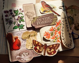 Forest animal theme | Etsy