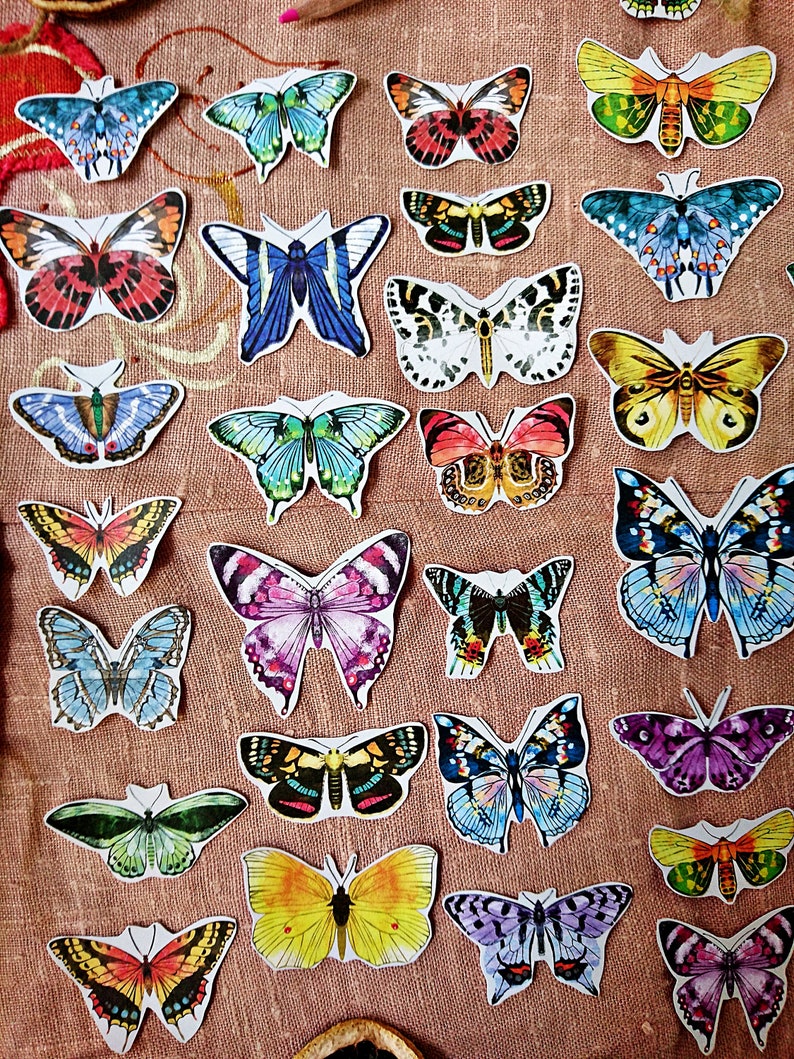 Butterflies Paper Kit 48 pcs Butterflies cut outs Butterfly Paper Ephemera Pack Scrapbooking Kit Entomology Junk Journal Lepidopterology