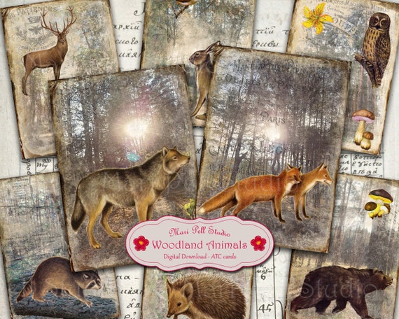 Woodland Animals Card Set, ATC cards, Forest Printable Kit 2.5”x3.5”, Forest Digital Image, Woodland Digital Collage Sheet, Instant Download
