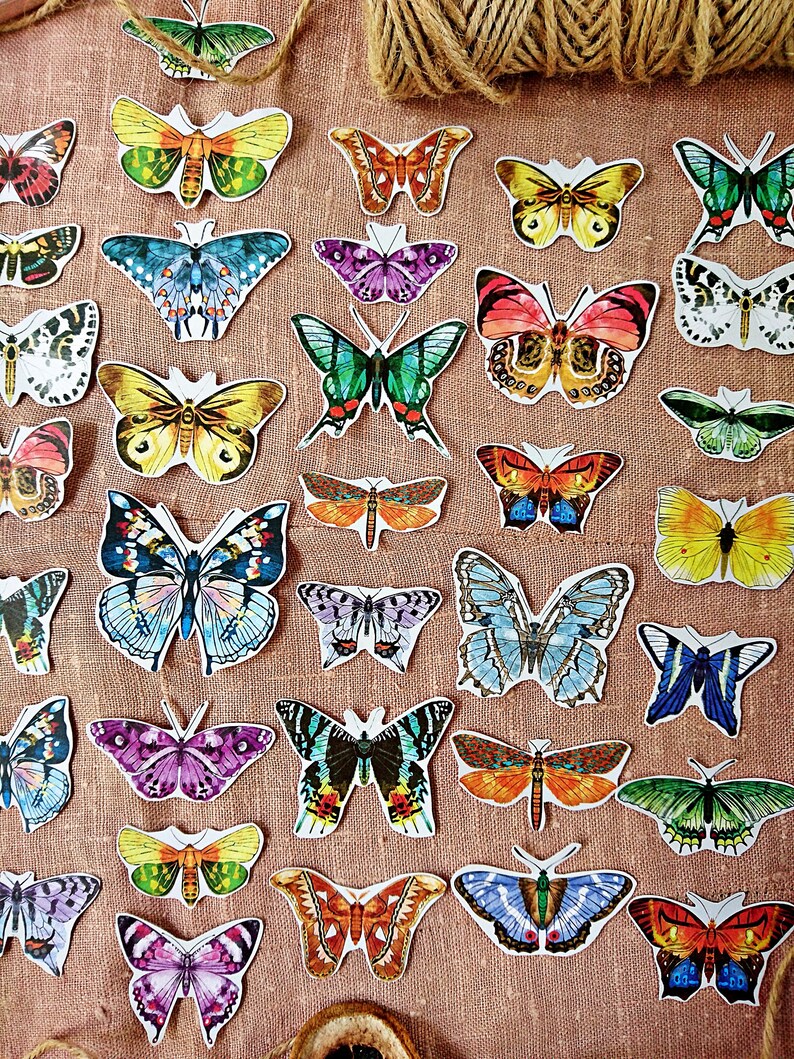 Butterflies Paper Kit 48 pcs Butterflies cut outs Butterfly Paper Ephemera Pack Scrapbooking Kit Entomology Junk Journal Lepidopterology