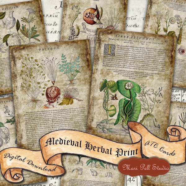 Medieval Herbal, Postcards, Middle Ages, Plant Identification, ATC, Card, Medicinal Plants Sheets, Botanical Book Pages, Digital Download