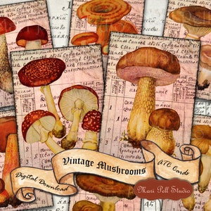 Vintage Mushrooms - Digital Collage Sheet Digital Cards Instant Download Printable ATC Cards 2.5”x3.5” ACEO Mushrooms Cards Digital Image