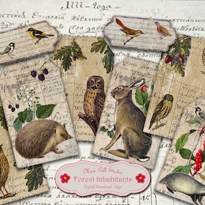 Etiquetas de habitantes del bosque, etiquetas de bosques, etiquetas de bosques, etiquetas imprimibles, etiquetas efímeras, etiquetas de regalo digital, etiquetas vintage scrapbooking etiquetas de animales